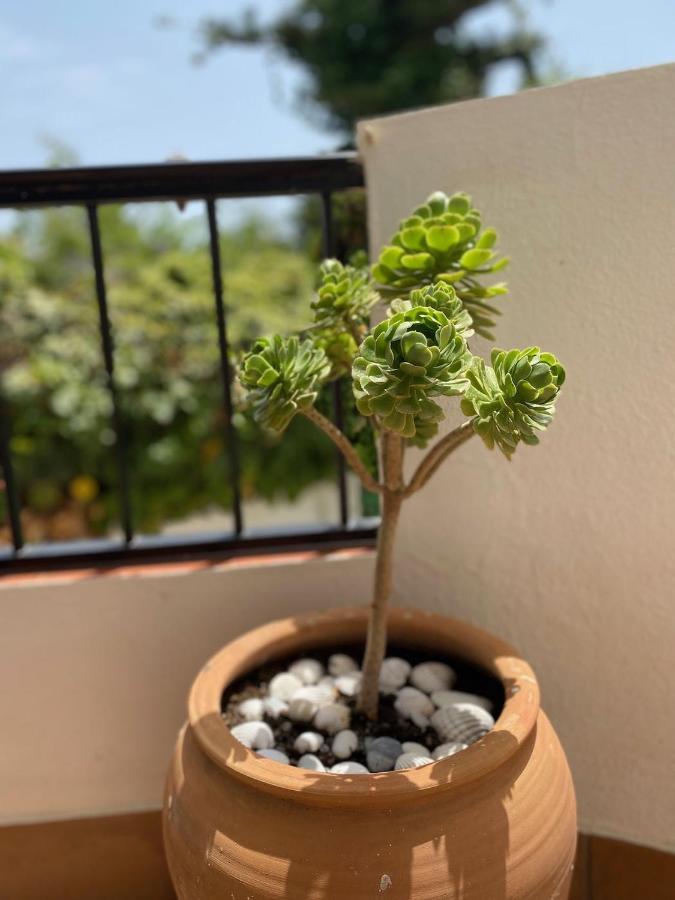 Las Palmeras 3, Nerja Dış mekan fotoğraf